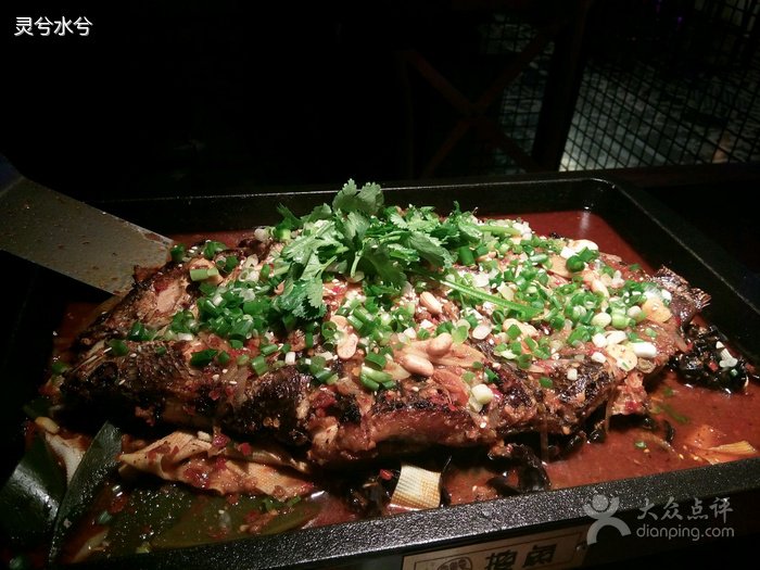 搜鱼网的搜鱼网