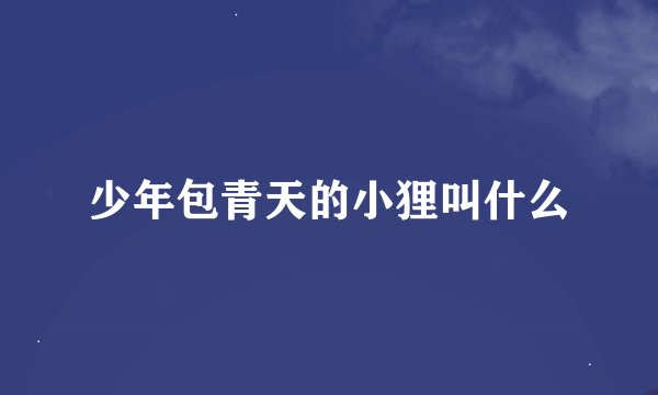 少年包青天的小狸叫什么