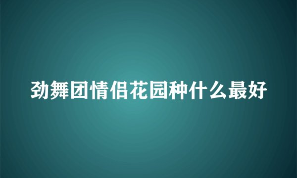 劲舞团情侣花园种什么最好