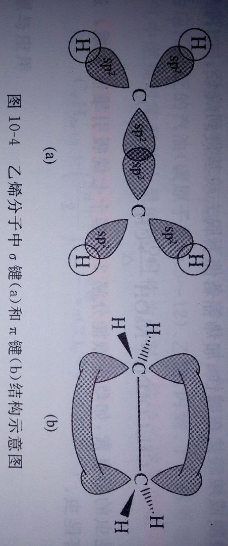 为什么碳碳双键中的cigema键是由2个sp2杂化轨道形成的？