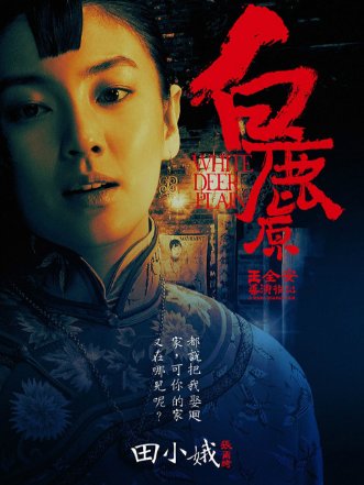 电影《白鹿原》主要讲了什么？