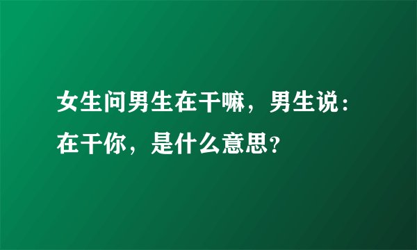 女生问男生在干嘛，男生说：在干你，是什么意思？