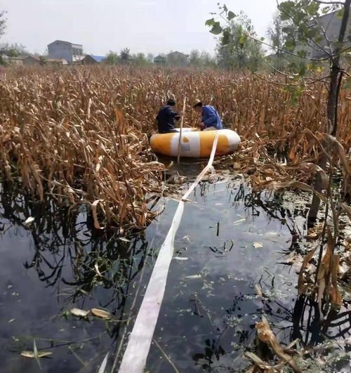 有网民反映磁县“承包土地浇地难”,官方是如何回应这件事的?