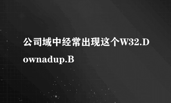 公司域中经常出现这个W32.Downadup.B