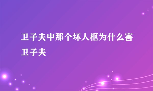 卫子夫中那个坏人枢为什么害卫子夫