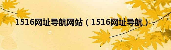 1516网址导航网站1516网址导航
