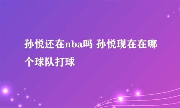孙悦还在nba吗 孙悦现在在哪个球队打球