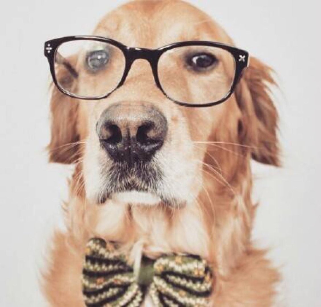 东北人口中的咔咔的是什么意思？