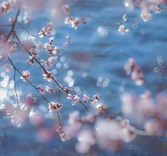 春风十里不如你全诗