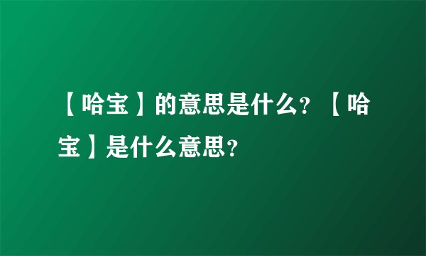【哈宝】的意思是什么？【哈宝】是什么意思？
