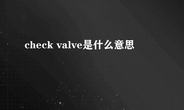 check valve是什么意思