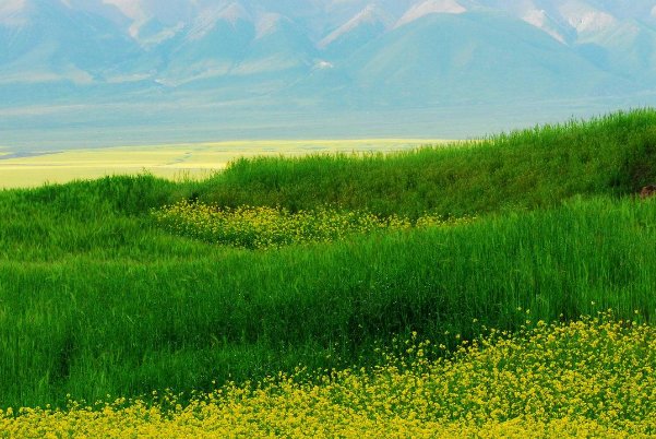 毓贞是什么意思