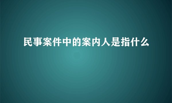 民事案件中的案内人是指什么