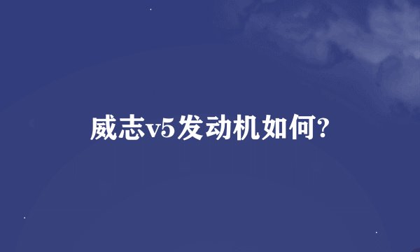 威志v5发动机如何?
