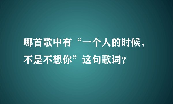 哪首歌中有“一个人的时候，不是不想你”这句歌词？