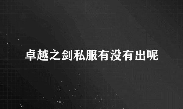 卓越之剑私服有没有出呢