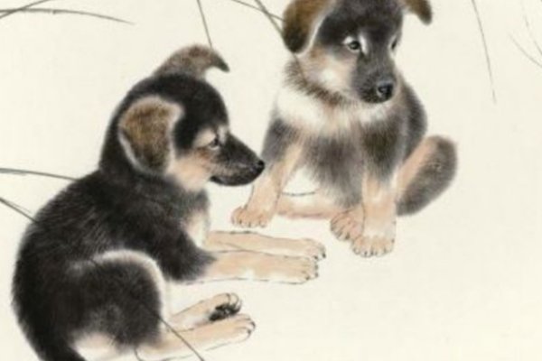 水软山温是什么动物