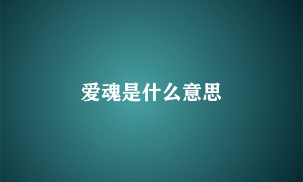 爱魂是什么意思
