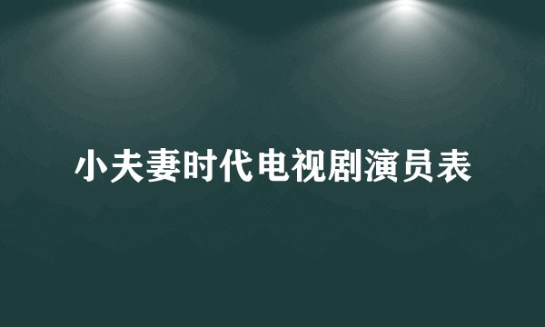小夫妻时代电视剧演员表