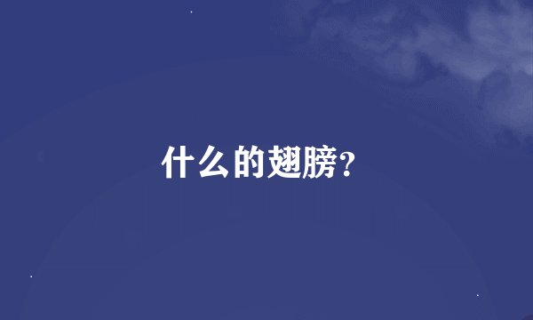 什么的翅膀？