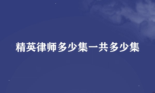 精英律师多少集一共多少集