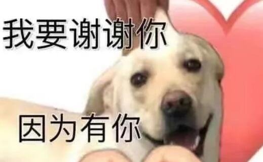 听我说谢谢你是什么梗