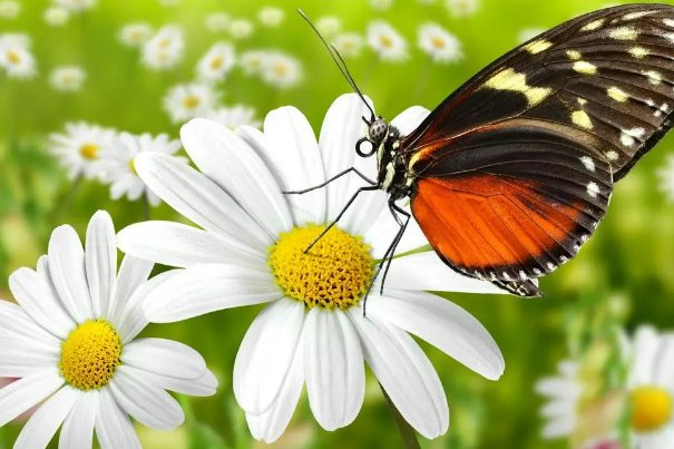 ps学习班学完多少钱