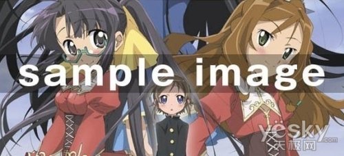 迷elle的伪娘的STAFF