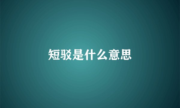 短驳是什么意思