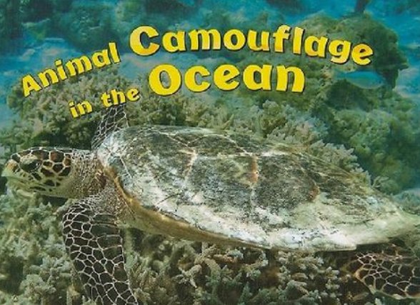 camouflage什么意思