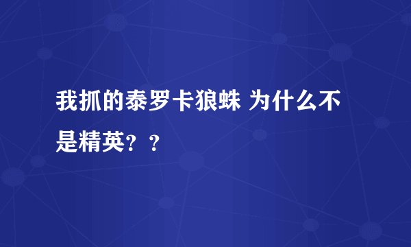 我抓的泰罗卡狼蛛 为什么不是精英？？