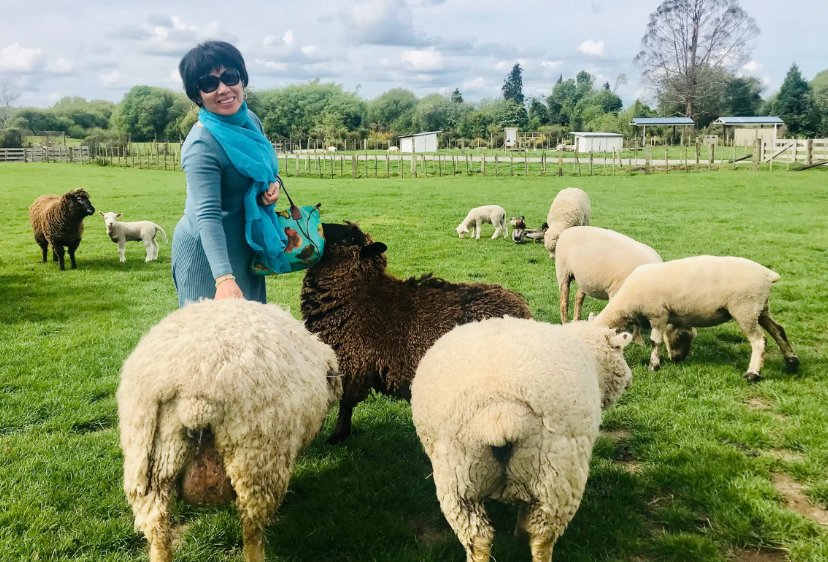 人与畜禽有什么区别？