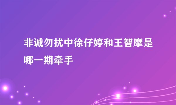 非诚勿扰中徐仔婷和王智摩是哪一期牵手