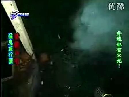 恐怖异刺元的基本信息