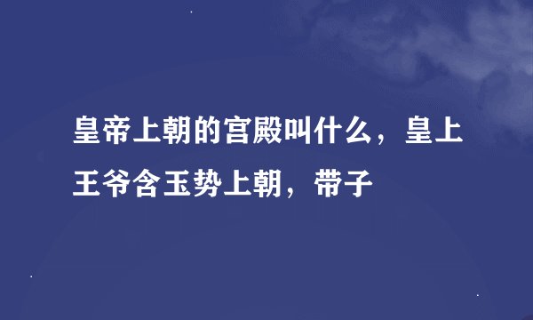 皇帝上朝的宫殿叫什么，皇上王爷含玉势上朝，带子