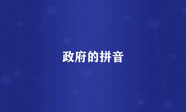 政府的拼音