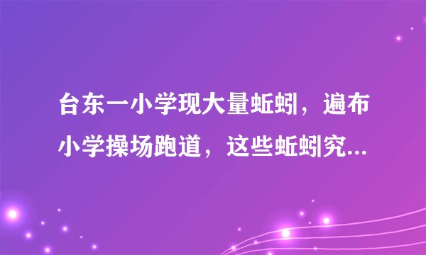 台东一小学现大量蚯蚓，遍布小学操场跑道，这些蚯蚓究竟从何而来？