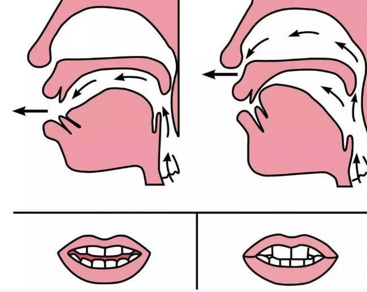 汉语中有几个平舌音？