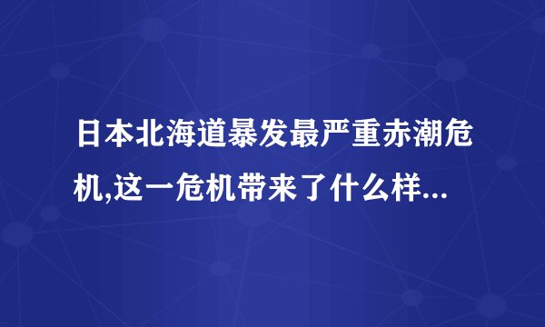 日本北海道暴发最严重赤潮危机,这一危机带来了什么样的后果?