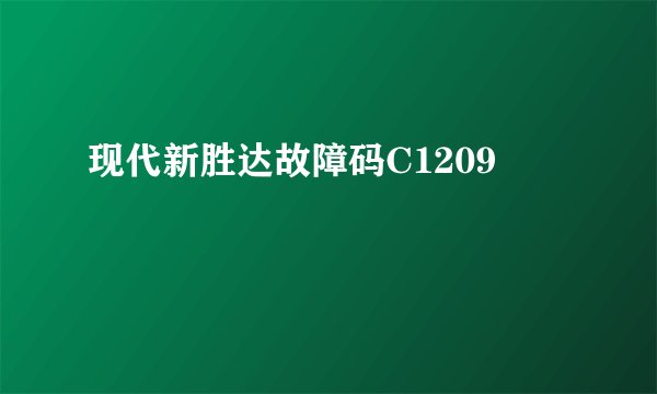 现代新胜达故障码C1209
