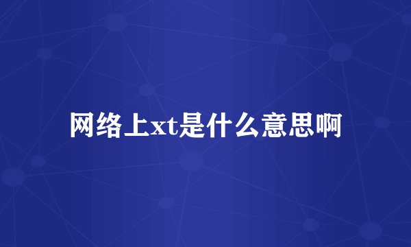 网络上xt是什么意思啊