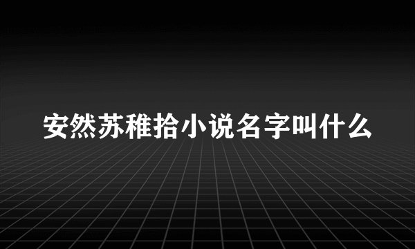 安然苏稚拾小说名字叫什么