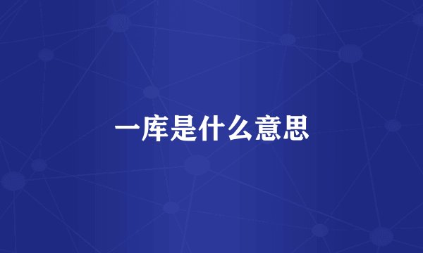 一库是什么意思