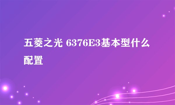五菱之光 6376E3基本型什么配置