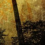 求帮切成QQ名片的9张图