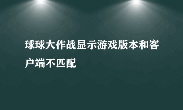 球球大作战显示游戏版本和客户端不匹配