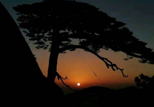 迎客松无客可迎，黄山旅游业遭重创，疫情下的旅游业如何复苏？