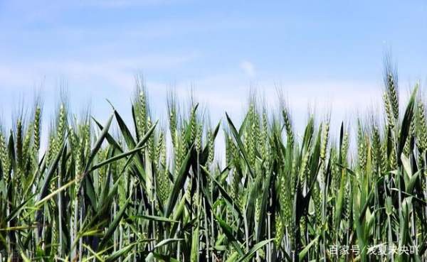 2021年立春是什么时间