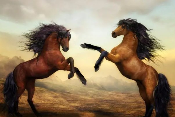 摆八赴阵打一生肖