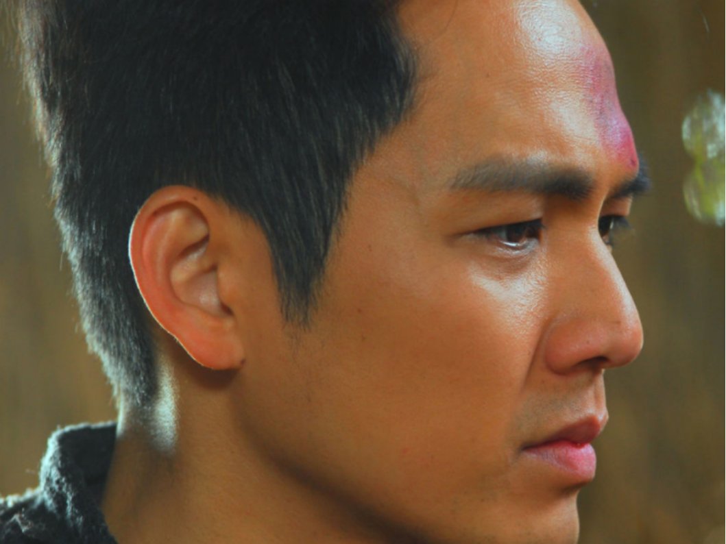 菩提树下共多少集